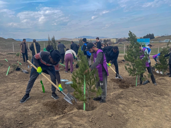 Tree planting campaign was held in Gazakh within the framework of the "Year of Heydar Aliyev"